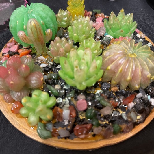 LRG SUCCULENT GARDEN