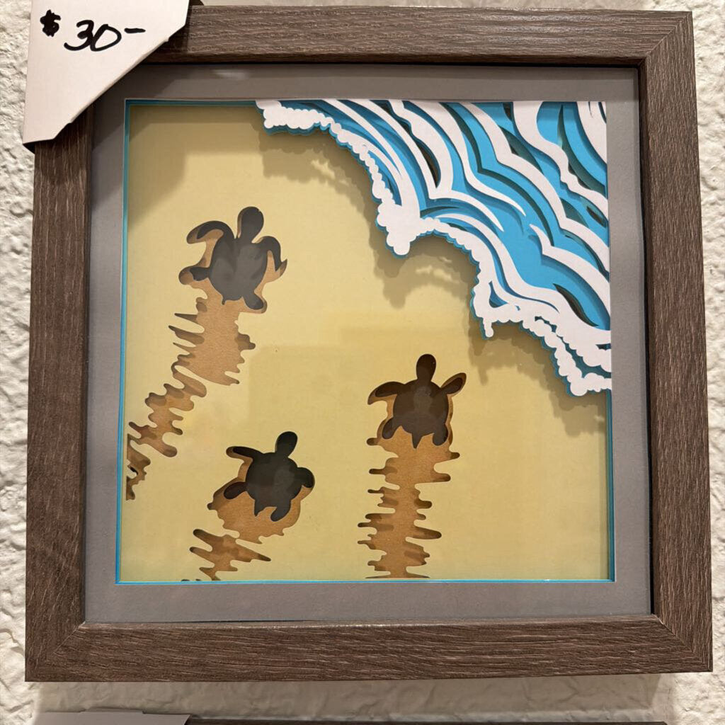 VDA Turtle Family
