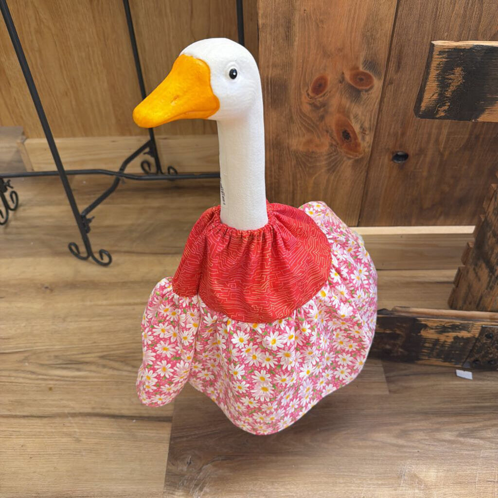 Goose with outfit 21"