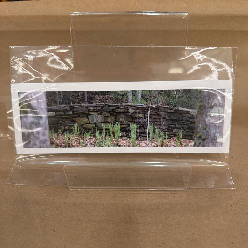 Book Mark 10