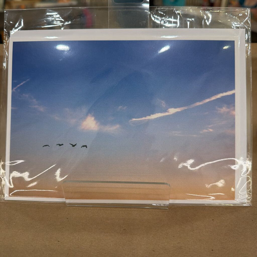Greeting Card 3