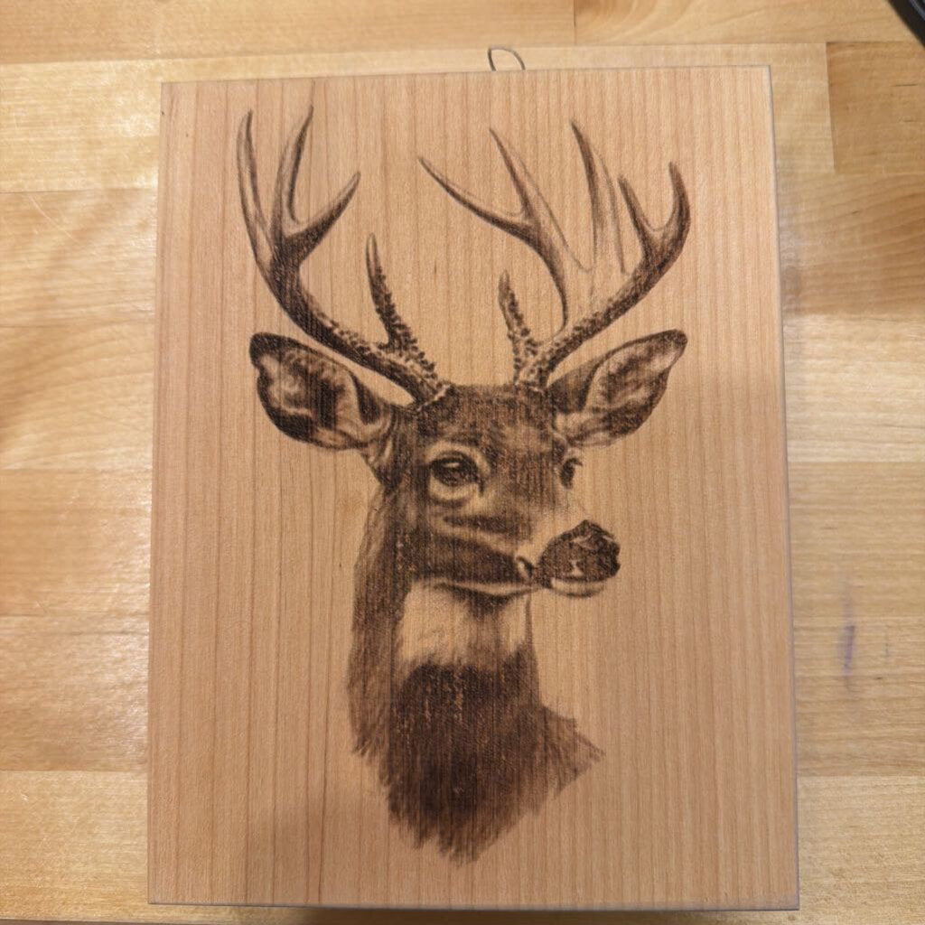 6x8 Engraved Deer
