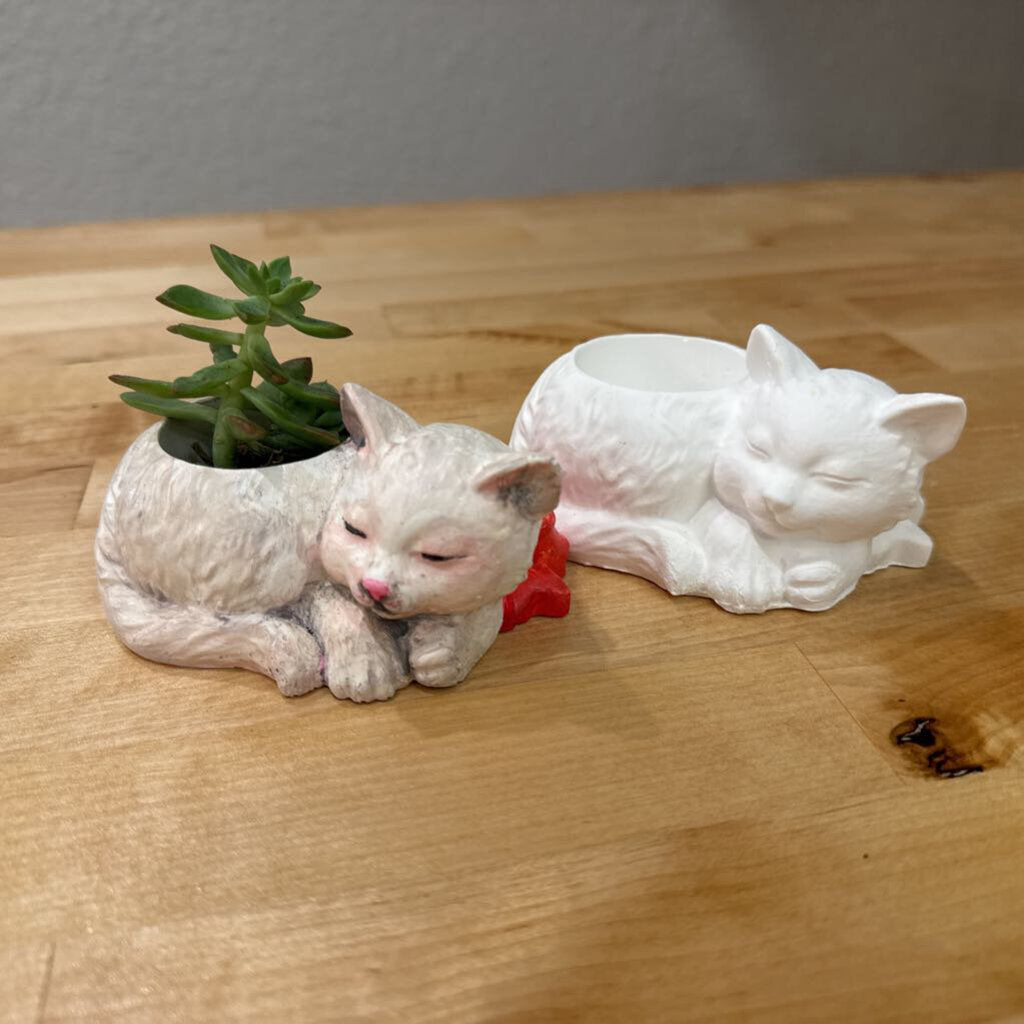 Cat Pot