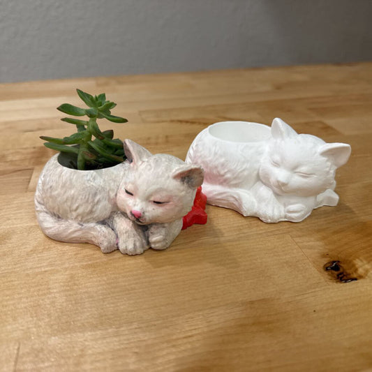 Cat Pot