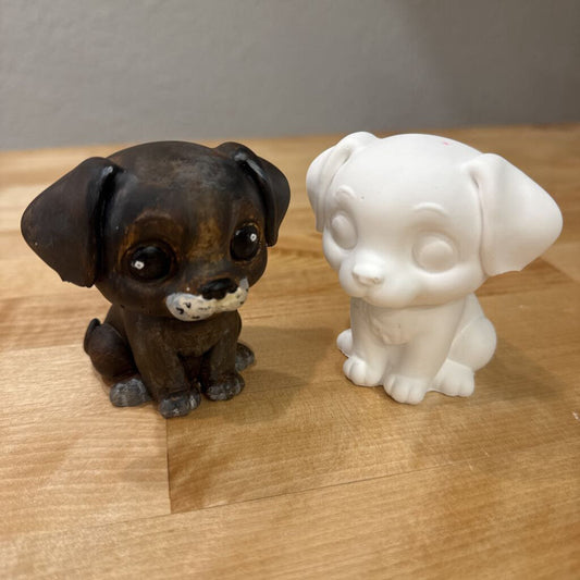 Cute Puppy