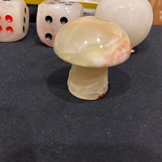 Green Banded Mushrooms