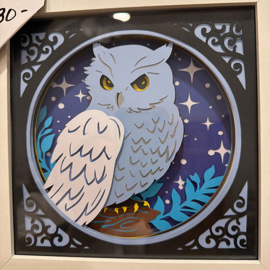 Magical Owl