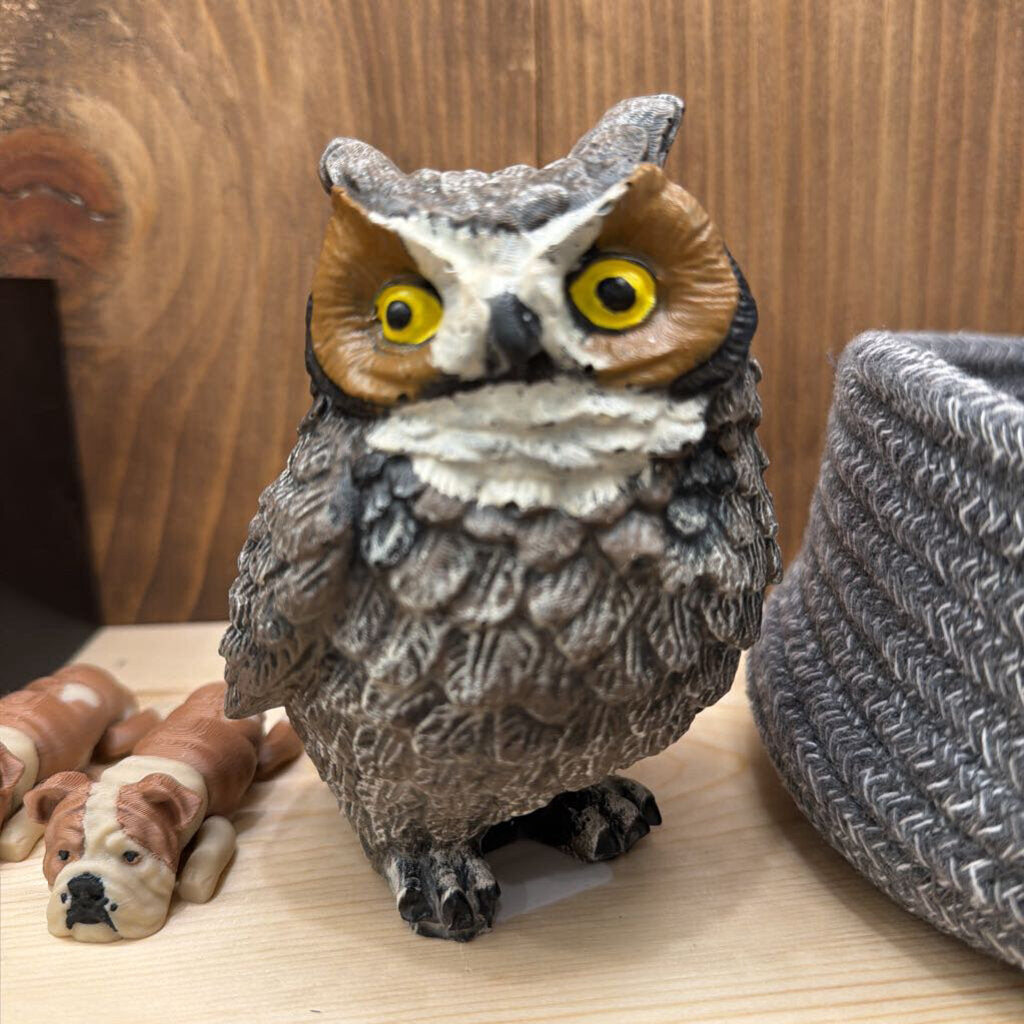 Owl