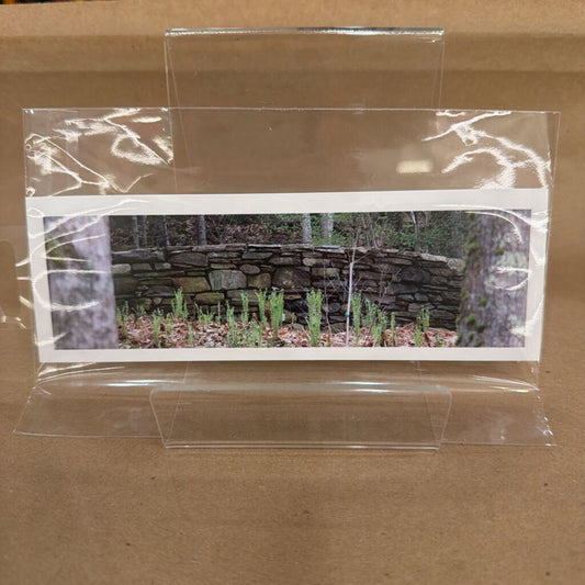 Book Mark 10