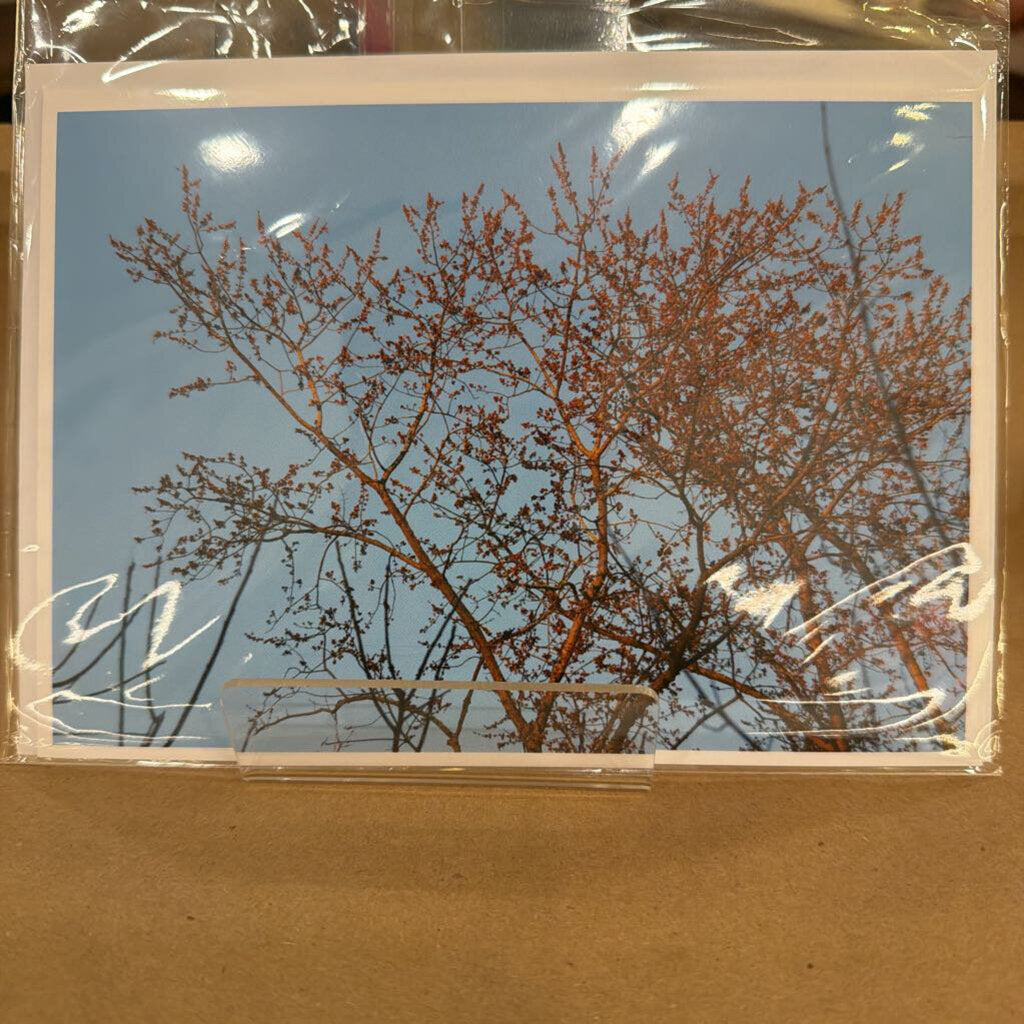Greeting Card 2