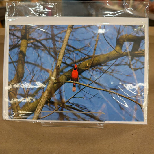 Greeting Card 4