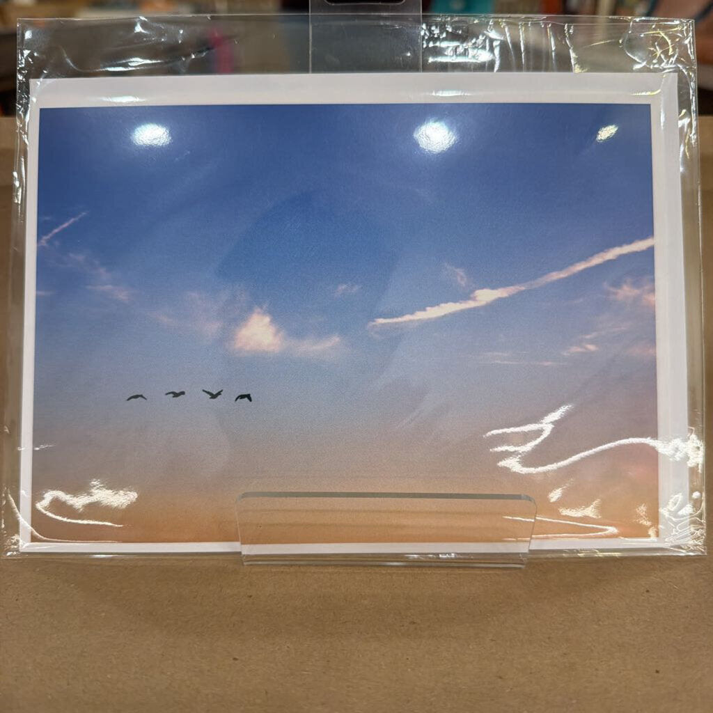 Greeting Card 4
