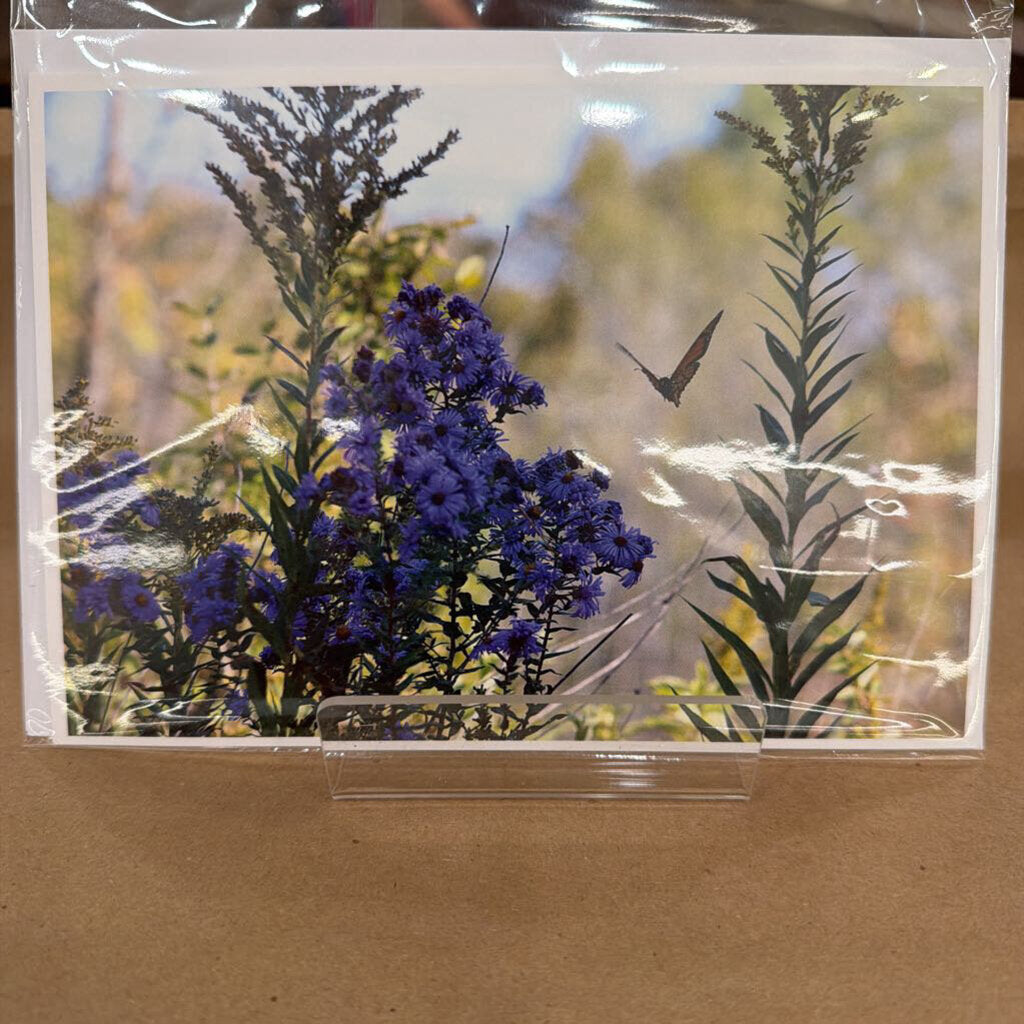 Greeting Card 6