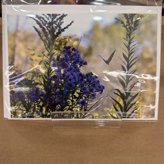 Greeting Card 6