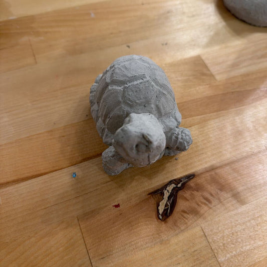 4" Turtle Paint Experience