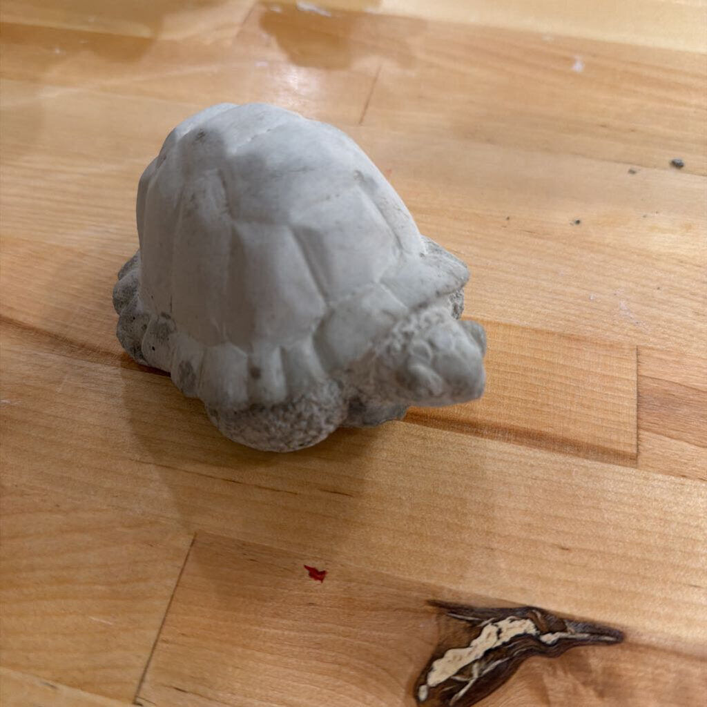 4" Turtle Paint Experience
