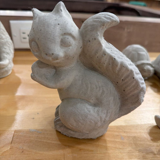 6" Squirrel Paint Experience