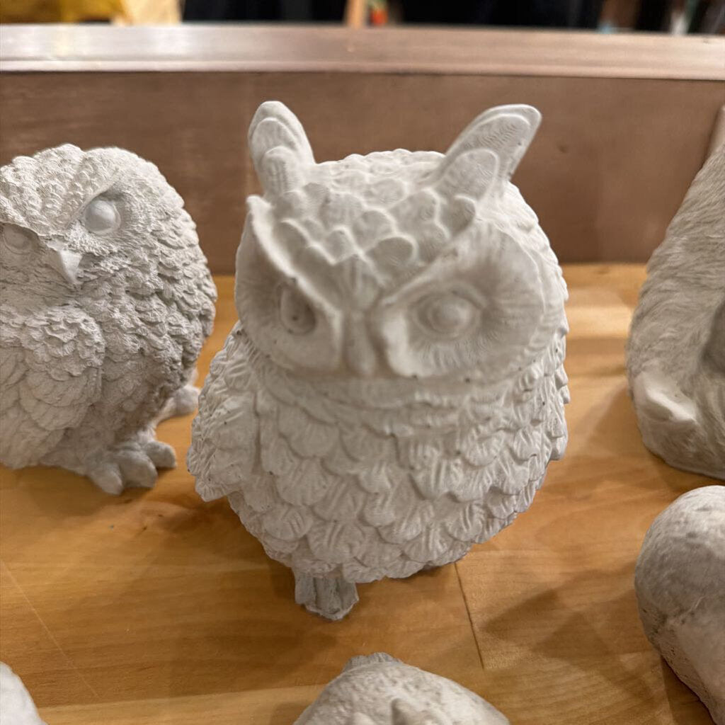 6" Owl Painting Experience
