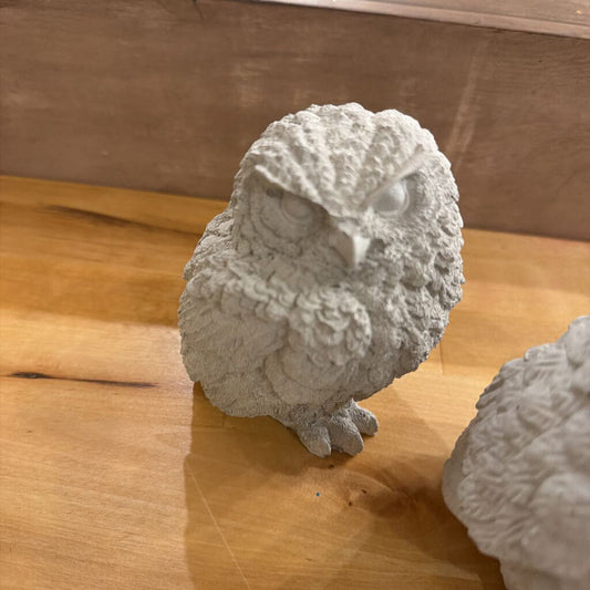 4" Owl Painting Experience