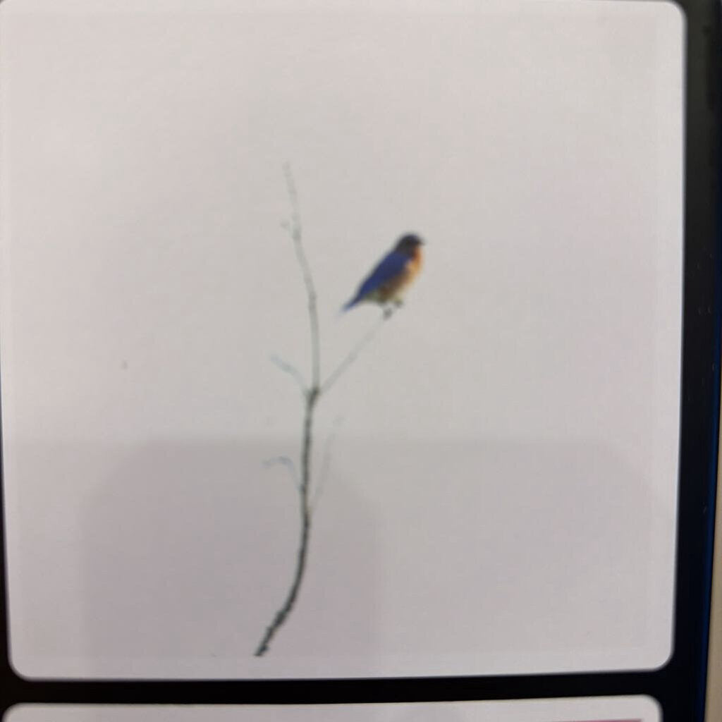 Magnets 10