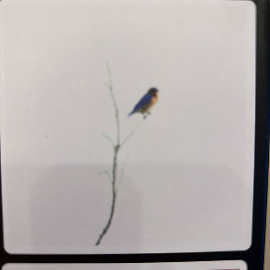 Magnets 10