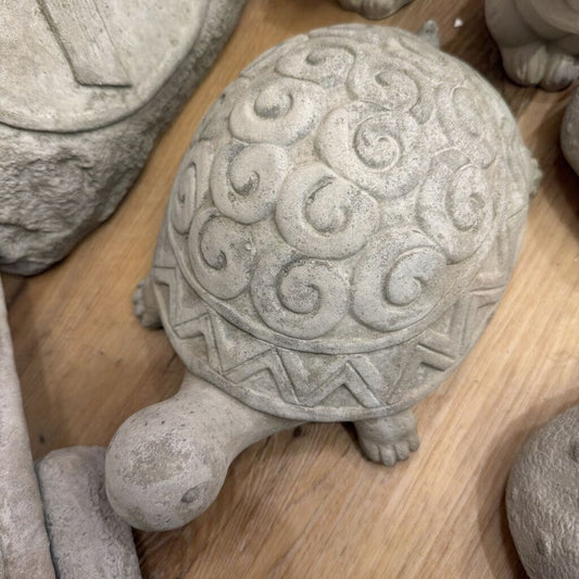 Turtle Swirl Painting Experience