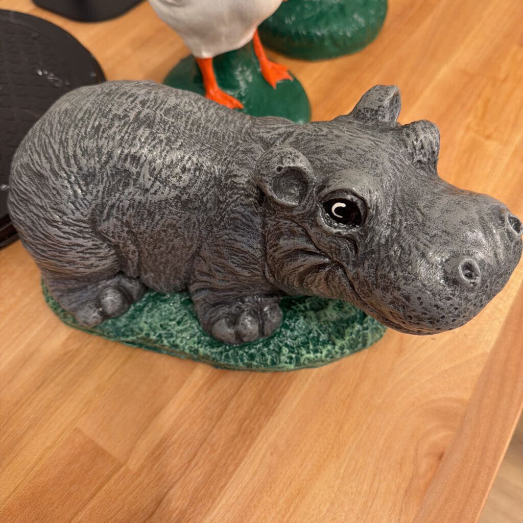 Baby Hippo- Special Event