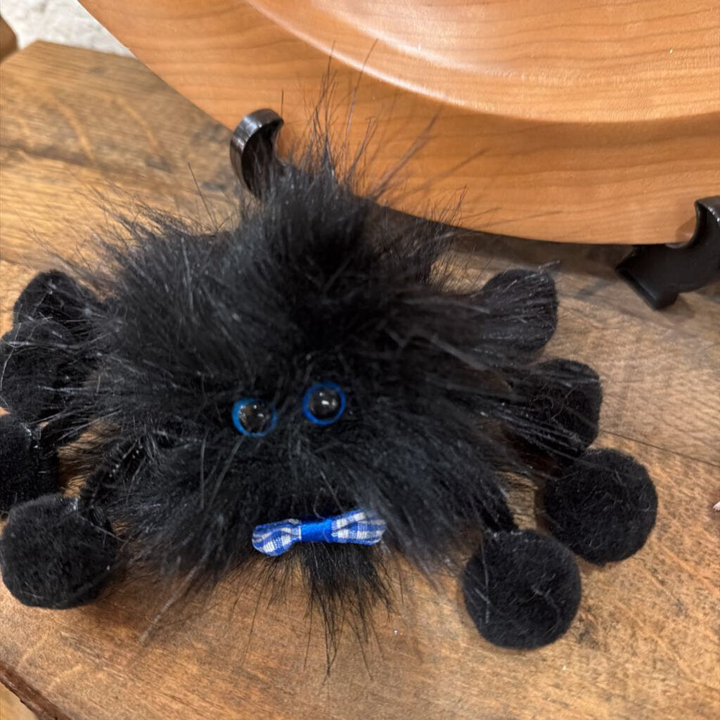 Blue Bow Spider